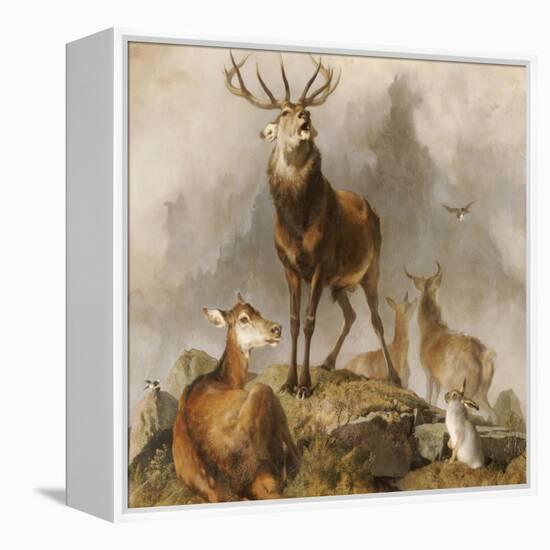 Scene in Braemar, Highland Deer-Edwin Henry Landseer-Framed Premier Image Canvas