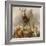 Scene in Braemar, Highland Deer-Edwin Henry Landseer-Framed Giclee Print