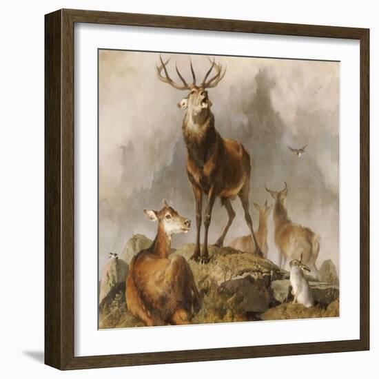 Scene in Braemar, Highland Deer-Edwin Henry Landseer-Framed Giclee Print