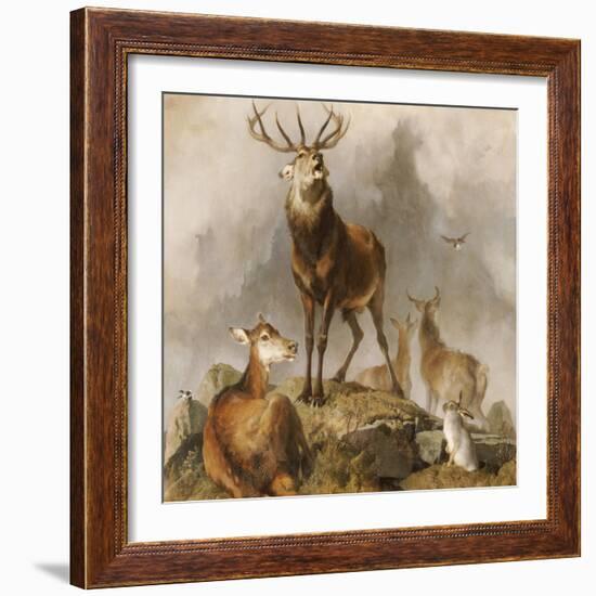 Scene in Braemar, Highland Deer-Edwin Henry Landseer-Framed Giclee Print