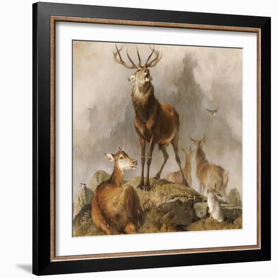 Scene in Braemar, Highland Deer-Edwin Henry Landseer-Framed Giclee Print