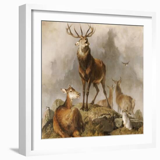 Scene in Braemar, Highland Deer-Edwin Henry Landseer-Framed Giclee Print