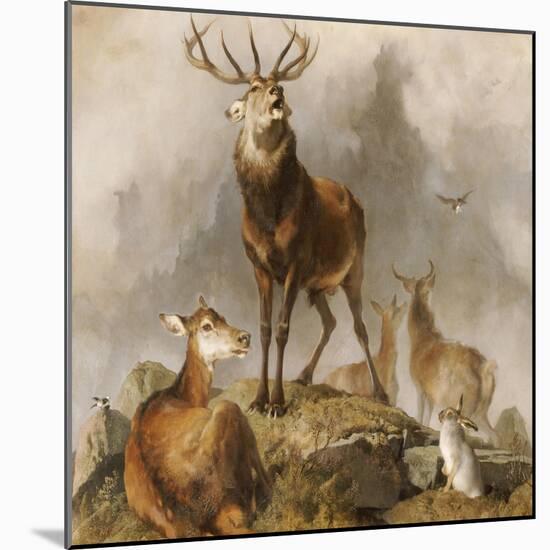 Scene in Braemar, Highland Deer-Edwin Henry Landseer-Mounted Giclee Print