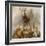 Scene in Braemar, Highland Deer-Edwin Henry Landseer-Framed Giclee Print