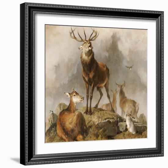 Scene in Braemar, Highland Deer-Edwin Henry Landseer-Framed Giclee Print