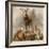 Scene in Braemar, Highland Deer-Edwin Henry Landseer-Framed Giclee Print