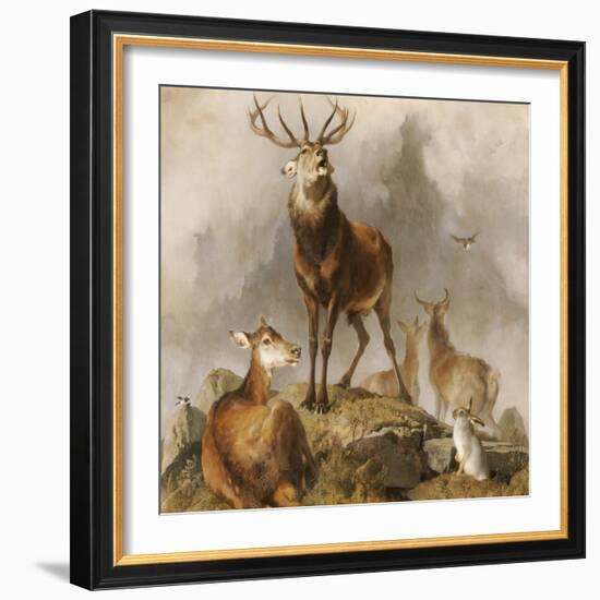 Scene in Braemar, Highland Deer-Edwin Henry Landseer-Framed Giclee Print