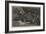 Scene in the Paris Zoo-null-Framed Giclee Print