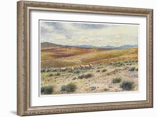 Scene in the Snowy Mountains Near Canberra-Percy F.s. Spence-Framed Art Print