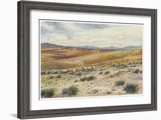 Scene in the Snowy Mountains Near Canberra-Percy F.s. Spence-Framed Art Print