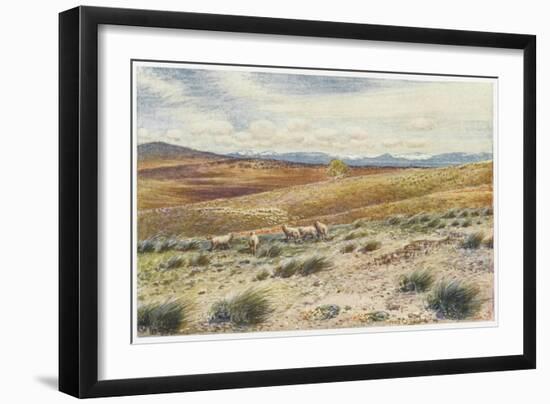 Scene in the Snowy Mountains Near Canberra-Percy F.s. Spence-Framed Art Print