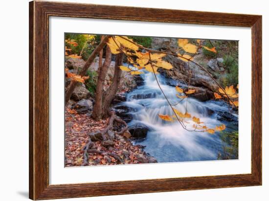 Scene of Autumn Leaves and Duck Brook-Vincent James-Framed Photographic Print