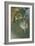 Scene of Dance or l'etoile-Edgar Degas-Framed Giclee Print