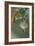 Scene of Dance or l'etoile-Edgar Degas-Framed Giclee Print