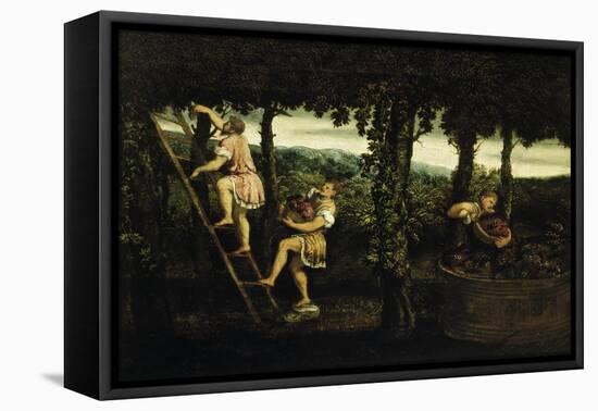 Scene of Grape Harvest-Paris Bordone-Framed Premier Image Canvas