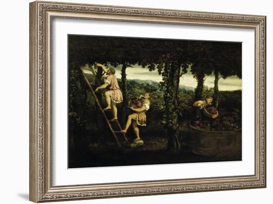 Scene of Grape Harvest-Paris Bordone-Framed Giclee Print