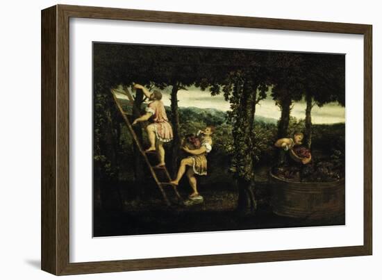 Scene of Grape Harvest-Paris Bordone-Framed Giclee Print