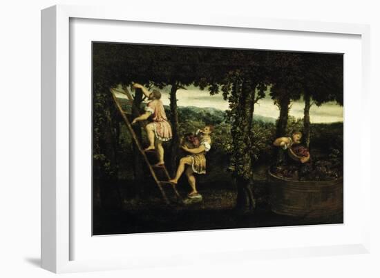 Scene of Grape Harvest-Paris Bordone-Framed Giclee Print