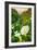 Scene of the Cala Lillies-Vincent James-Framed Photographic Print