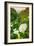 Scene of the Cala Lillies-Vincent James-Framed Photographic Print