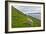 Scene Of Water And Free Roaming Sheep, Steymoy Island, Before Arriving In Kirkjubøur, Faroe Islands-Karine Aigner-Framed Photographic Print