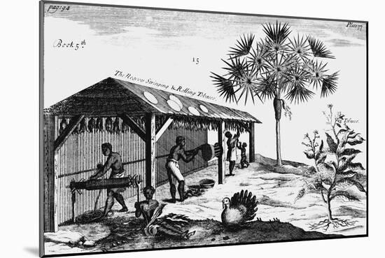 Scene on an American Tobacco Plantation, 1725-null-Mounted Giclee Print