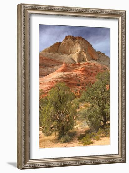 Scene on the Zion Plateau-Vincent James-Framed Photographic Print