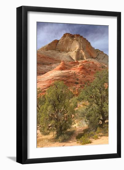 Scene on the Zion Plateau-Vincent James-Framed Photographic Print