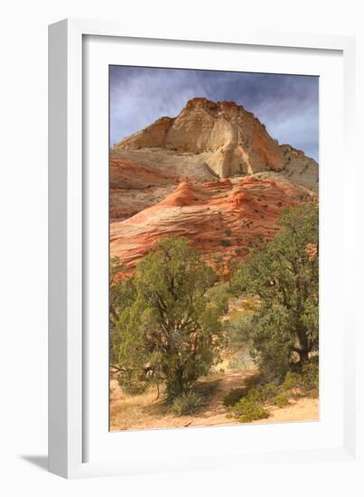 Scene on the Zion Plateau-Vincent James-Framed Photographic Print