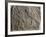Scene with Assyrian Soldiers Armed with Slings, Relief from Royal Palaces of Nineveh-null-Framed Giclee Print