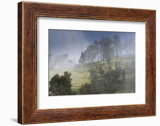 Scenery at Gunung Rinjani-Christoph Mohr-Framed Photographic Print