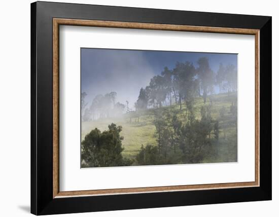 Scenery at Gunung Rinjani-Christoph Mohr-Framed Photographic Print