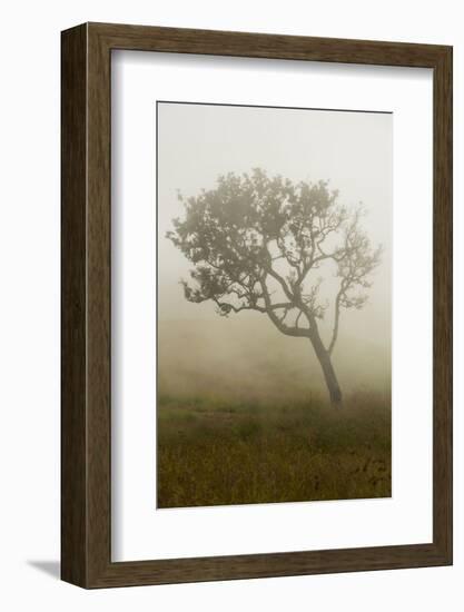 Scenery at Gunung Rinjani-Christoph Mohr-Framed Photographic Print