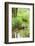 Scenery, brook, Deusmauer Moor, Upper Palatinate, Bavaria, Germany, Europe,-David & Micha Sheldon-Framed Photographic Print