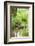 Scenery, brook, Deusmauer Moor, Upper Palatinate, Bavaria, Germany, Europe,-David & Micha Sheldon-Framed Photographic Print