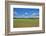 Scenery, corn field, Zea mays, field edge, heaven, blue, little cloud-David & Micha Sheldon-Framed Photographic Print