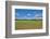 Scenery, corn field, Zea mays, field edge, heaven, blue, little cloud-David & Micha Sheldon-Framed Photographic Print