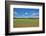 Scenery, corn field, Zea mays, field edge, heaven, blue, little cloud-David & Micha Sheldon-Framed Photographic Print