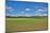 Scenery, corn field, Zea mays, field edge, heaven, blue, little cloud-David & Micha Sheldon-Mounted Photographic Print