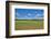 Scenery, corn field, Zea mays, field edge, heaven, blue, little cloud-David & Micha Sheldon-Framed Photographic Print