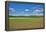 Scenery, corn field, Zea mays, field edge, heaven, blue, little cloud-David & Micha Sheldon-Framed Premier Image Canvas