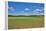 Scenery, corn field, Zea mays, field edge, heaven, blue, little cloud-David & Micha Sheldon-Framed Premier Image Canvas