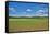 Scenery, corn field, Zea mays, field edge, heaven, blue, little cloud-David & Micha Sheldon-Framed Stretched Canvas