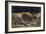 Scenery Design from Phedre, 1917 (Colour Litho)-Leon Bakst-Framed Giclee Print