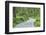 Scenery, forest way, spruce forest, Picea abies, spring-David & Micha Sheldon-Framed Photographic Print