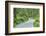 Scenery, forest way, spruce forest, Picea abies, spring-David & Micha Sheldon-Framed Photographic Print