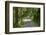 Scenery, forest way, spruce forest, Picea abies, spring-David & Micha Sheldon-Framed Photographic Print