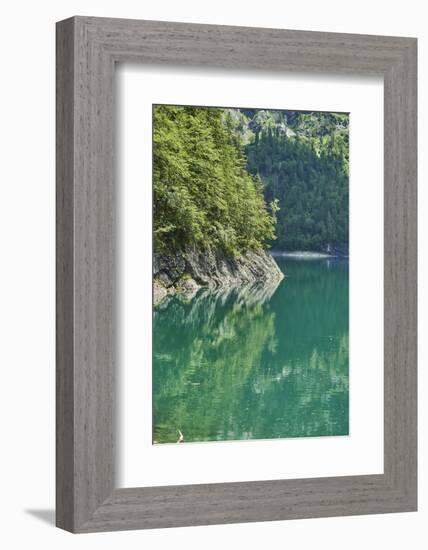 Scenery, Gosausee, mountain lake, spring-David & Micha Sheldon-Framed Photographic Print