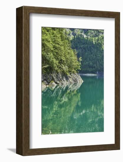 Scenery, Gosausee, mountain lake, spring-David & Micha Sheldon-Framed Photographic Print