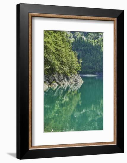 Scenery, Gosausee, mountain lake, spring-David & Micha Sheldon-Framed Photographic Print